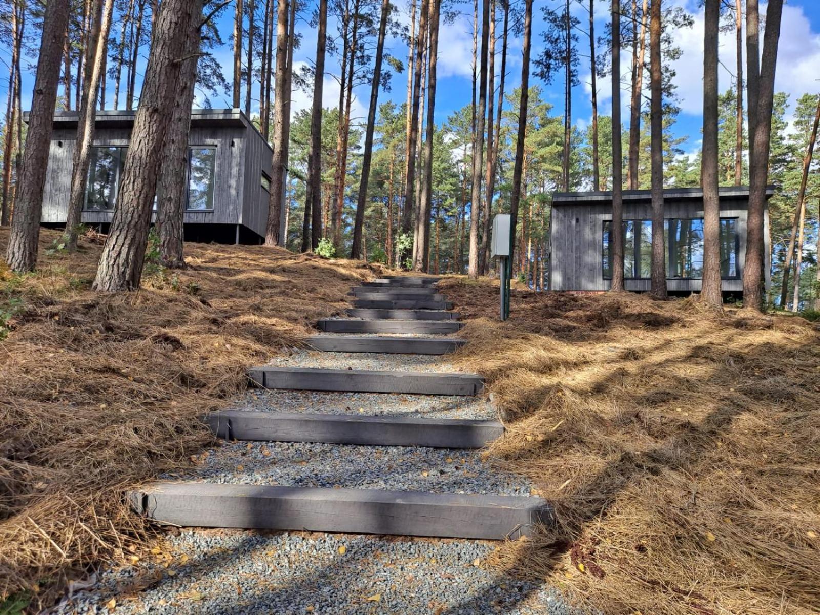 Gaujaclub - Our Bose And Bang&Olufsen Lofts On A Lake Gauja  Pokoj fotografie
